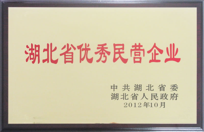 湖北省優秀民營企業